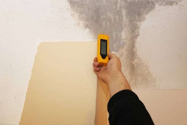 Best HVAC Mold Inspection and Cleaning  in Lordship, CT
