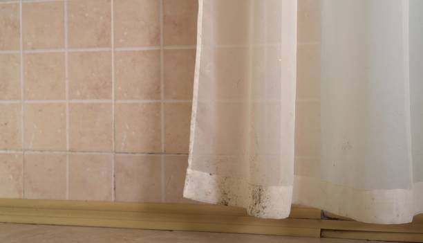Best Commercial Mold Inspection  in Lordship, CT