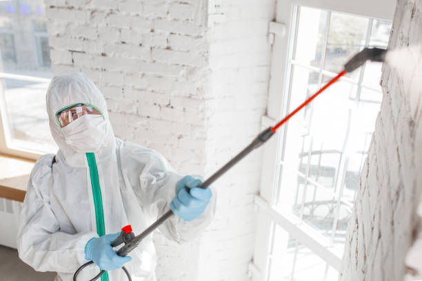 Best Indoor Air Quality Assessment  in Lordship, CT