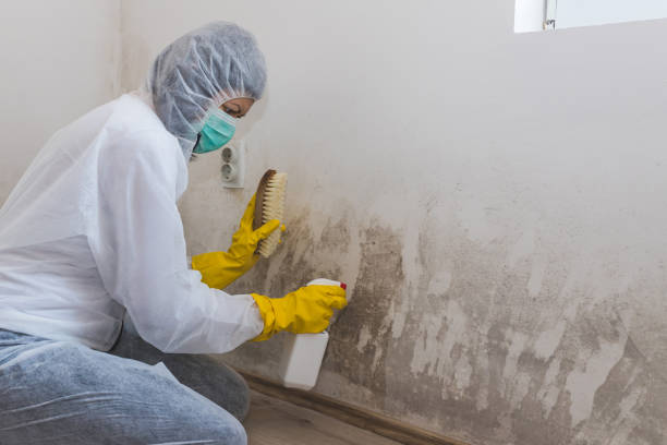 Best Airborne Mold Testing  in Lordship, CT