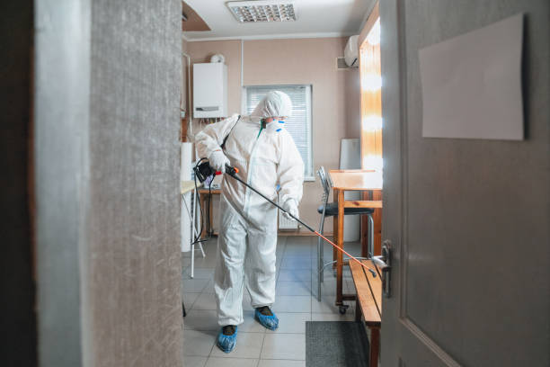 Best Mold Odor Removal Services  in Lordship, CT