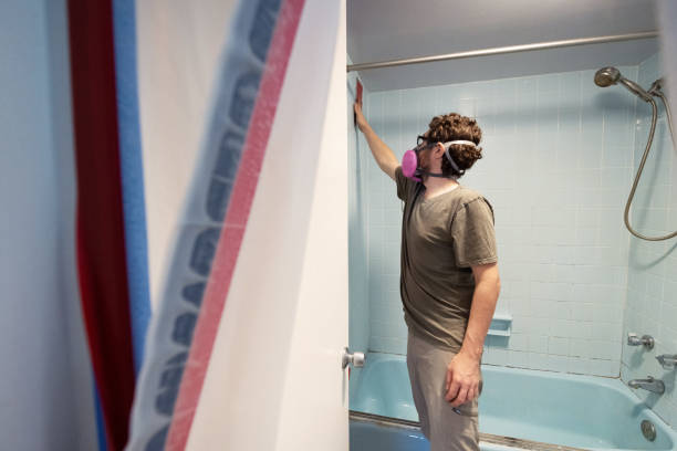 Best Comprehensive Air Testing for Mold Contaminants  in Lordship, CT