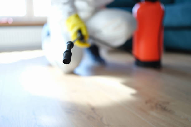 Reliable Lordship, CT Mold Removal Solutions