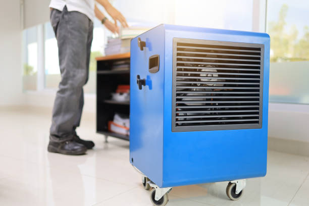 Best Environmental Consulting for Mold Prevention  in Lordship, CT