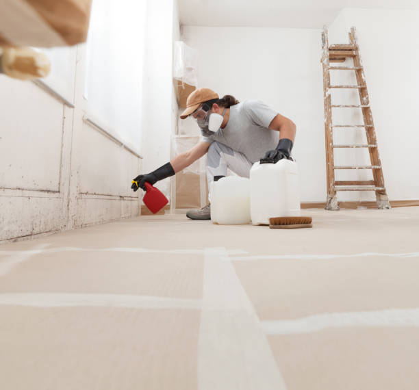 Forensic Mold Investigation in Lordship, CT