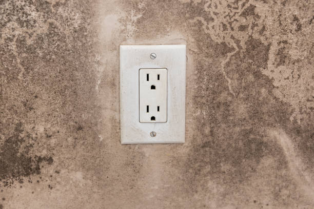 Mold Remediation for Rental Properties in Lordship, CT